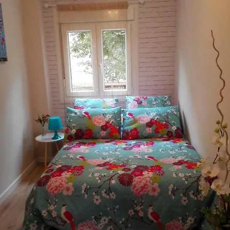 Arcoiris - Junto Casco Historico Valladolid