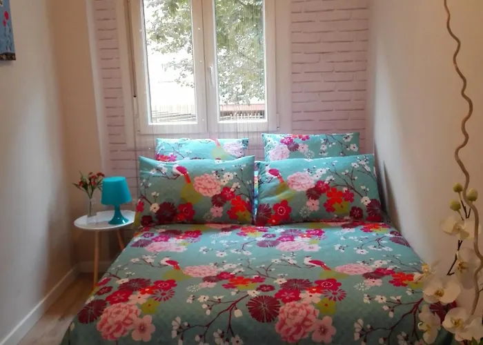 Arcoiris - Junto Casco Historico 巴利亚多利德